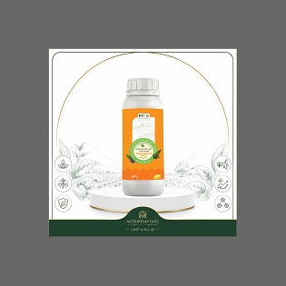 Amino-Algae